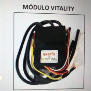 MODULO DE ENCENDIDO NEGRO VITALITY
