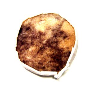 BONETE P/PULIDORA 9" CHIPORRO LIZCAL"