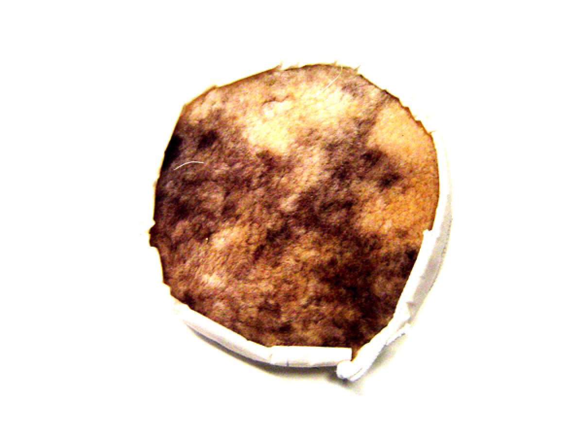 BONETE P/PULIDORA 9" CHIPORRO LIZCAL"